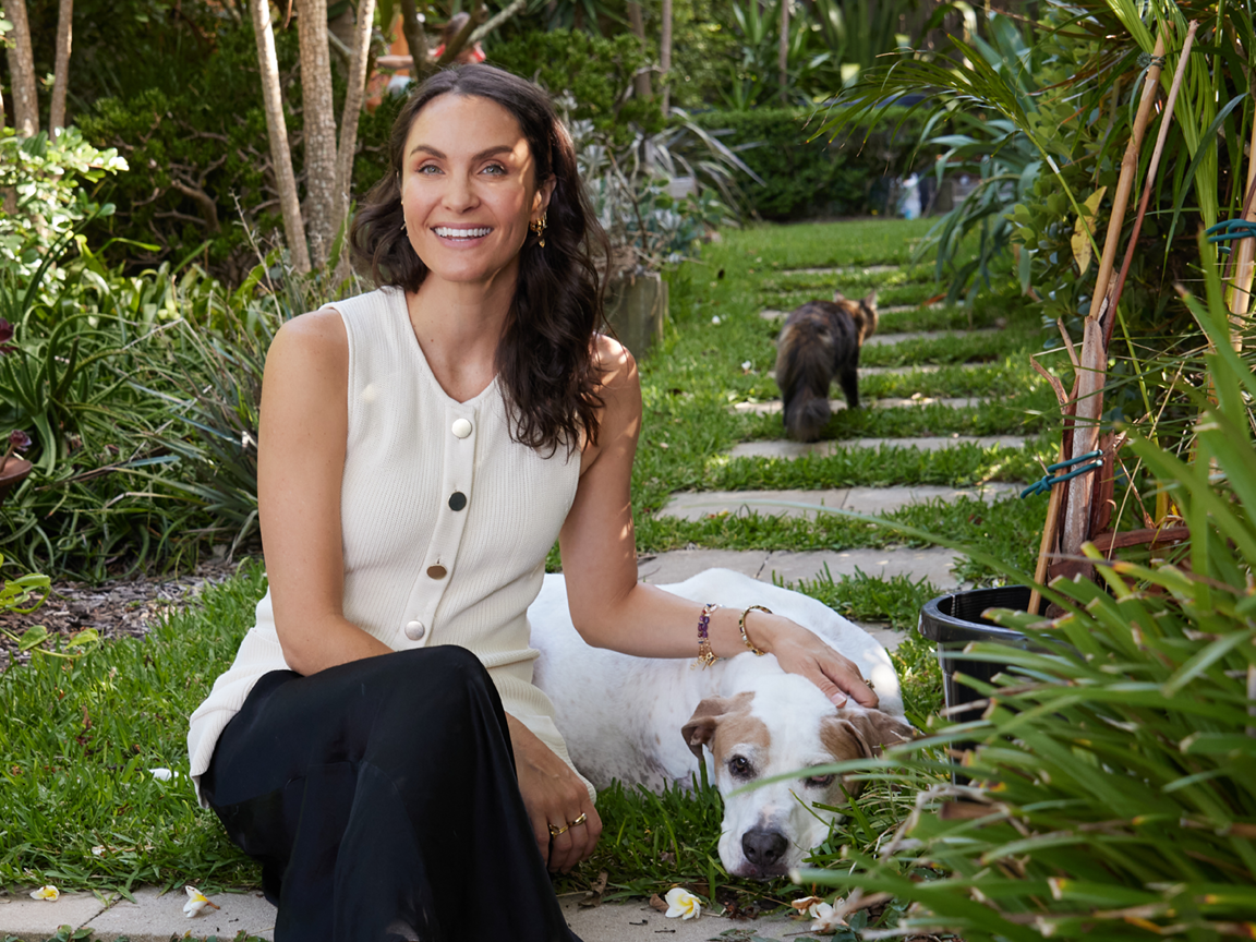 WE HELPED OVER 850 PETS
FIND FOREVER HOMES for The Petstock Foundation